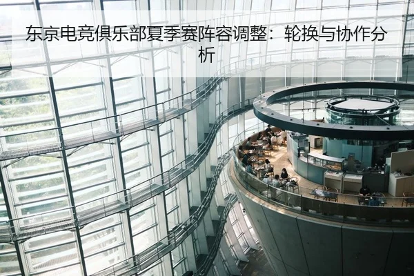 东京电竞俱乐部夏季赛阵容调整：轮换与协作分析